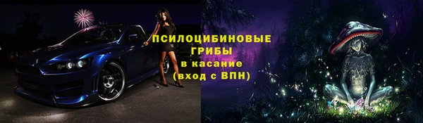 герыч Арсеньев