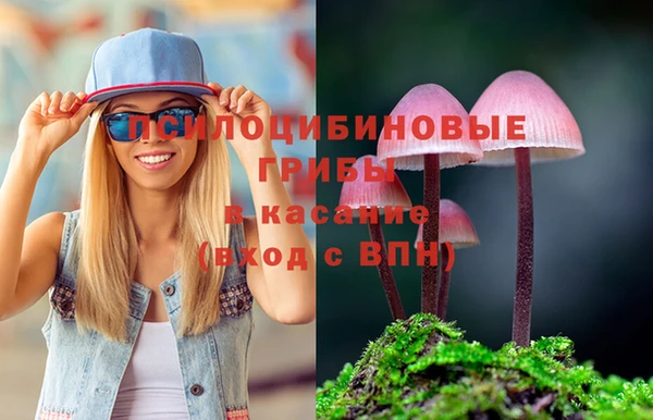 a pvp Навашино