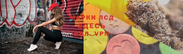 соль ск Надым
